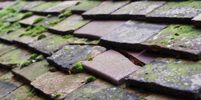 Heybridge roof repair costs